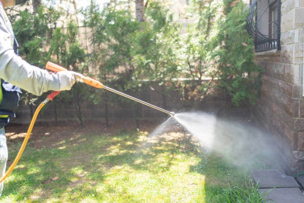 Trusted Elm City, NC Pest Control Experts